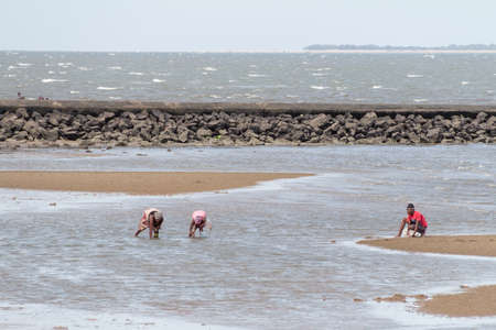 Maputo â Nov 27: The local residents of Maputo collect shellfish along the beach of Maputo Bay â Maputo, Mozambique, November 27, 2014のeditorial素材