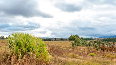 Dark clouds hovering over the farm lands of the highland areas of Madagascarの写真素材