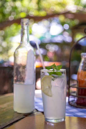 Ice cold lemonade served with mint leaves on a hot summer day under a tree shadeの写真素材
