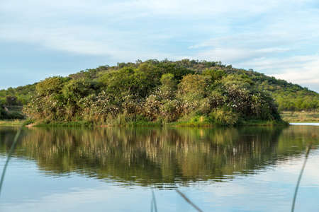 Thousands of birds nest on a small island surrounded by a lake at the Mokolodi Nature Reserve in Botswanaの写真素材