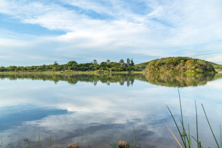 A beautiful lake in the middle of Mokolodi Nature Reserve in Botswanaの写真素材