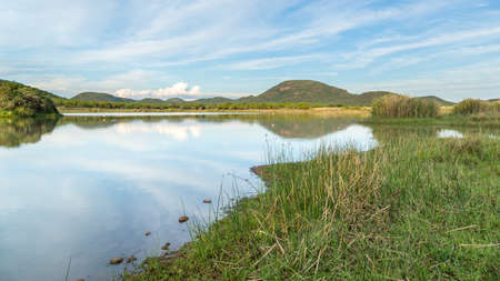 A beautiful lake in the middle of Mokolodi Nature Reserve in Botswanaの写真素材