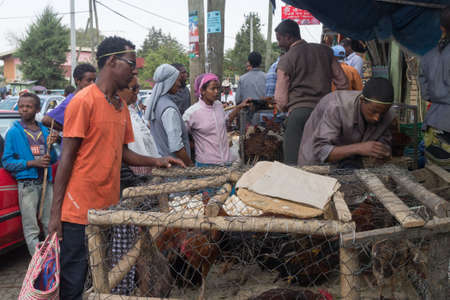 Addis Ababa: April 11: People bargain to buy roosters for the Easter Holidays at a local market on April 11, 2015 in Addis Ababa, Ethiopiaのeditorial素材