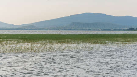 The beautiful Hawassa lake surrounded by lush vegetation and mountains at a distanceの写真素材