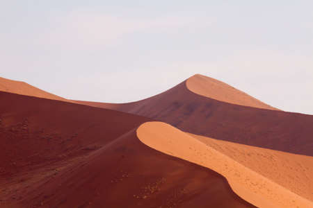 Sand dunes of Sossusvlei, Namibiaの写真素材