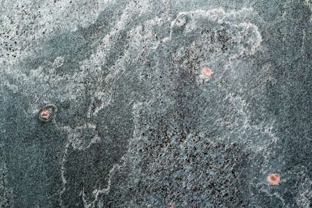 Polished quartzite tile flooringの写真素材