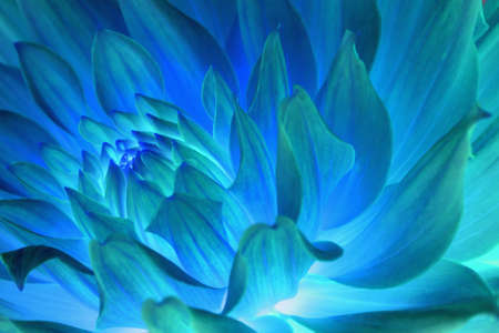 Psychedelic blue flower abstractの写真素材