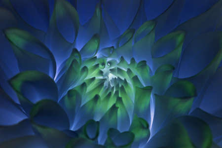 Psychedelic blue flower abstractの写真素材