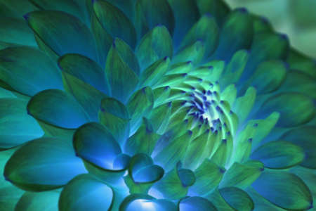 Psychedelic blue flower abstractの写真素材