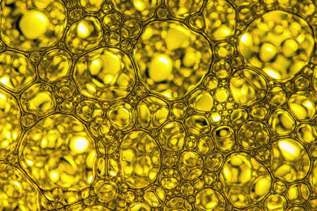 Selective focus soap bubblesの写真素材