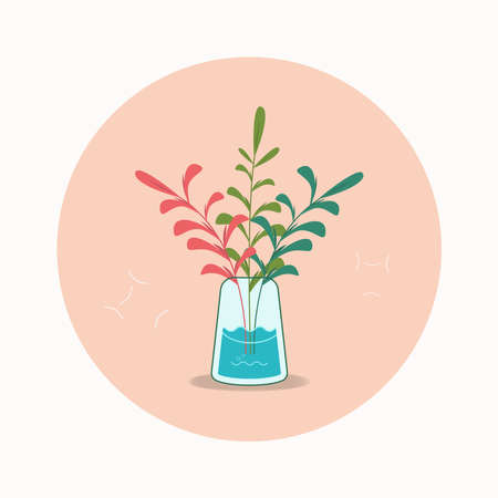 Nature flowers in bottle. Botanical vector Illustrationのイラスト素材