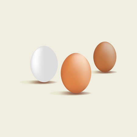 Three eggs realistic chicken vector illustrationのイラスト素材