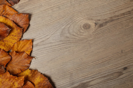Autumn Leaves frame over wooden backgroundの写真素材