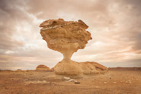 Black and White Desert at Sunset. Baharia. Egyptの写真素材