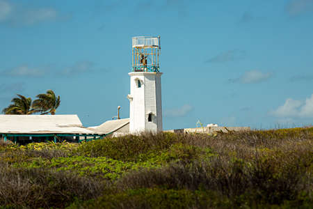White lighthouse in the Black Iguana (Ctenosaura Similis) park on Isla Mujeres, Mexico.の写真素材
