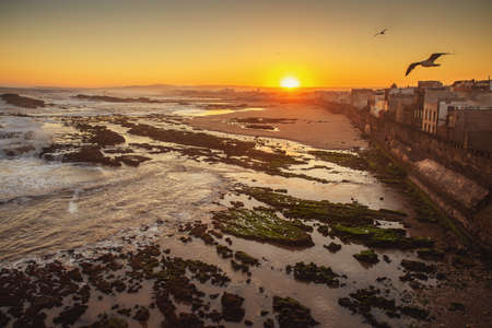 Sunrise in the port city of Essaouira. View of the Atlantic coast and city housesの写真素材