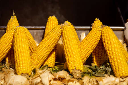 Fresh boiled corn, street food. Istanbul.の写真素材
