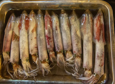Fresh squid for sale at the seafood market