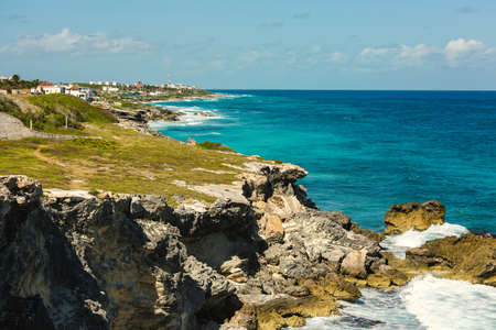 View of Isla Mujeres. Black Iguana Park (Ctenosaura Similis). Mexico.の写真素材