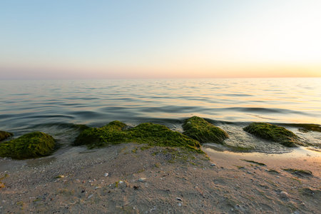 Landscape of Ukraine. View of the Black Sea at sunrise. Kinburn Spit.