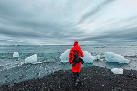 A female tourist in a red jacket walks near glaciers in the Jokulsarlon glacial lagoon near Vatnajokull National Park, southeast Iceland .Trip Icelandの写真素材