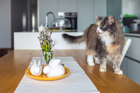 The cat is standing on the table in front of a plate of Easter bunnies.の写真素材