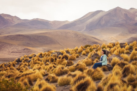 Vegetation of the Bolivian Altiplano. A female tourist sits among wild grass in the pampas in Bolivia. South Americaの写真素材