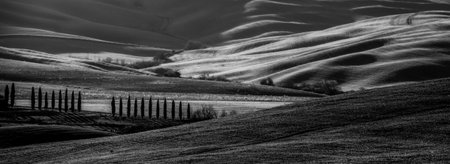 Black and white landscape of Tuscany. Italy. Panoramaの写真素材