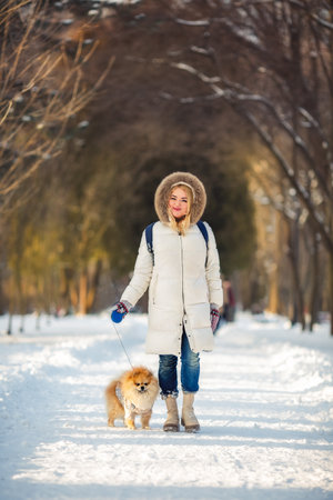 A girl in a white jacket walks with a spitz in the park in winterの写真素材
