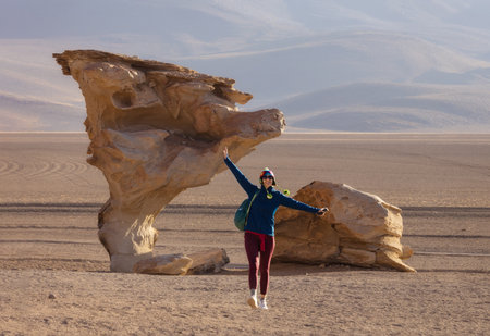 Arbol de Piedra (Stone Tree) is a volcanic rock formation in the Desierto Siloli in Bolivia.の写真素材