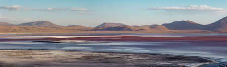 A panoramic view of the Colorada Lagoon in Boliviaの写真素材
