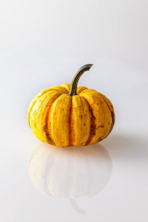 Yellow decorative small pumpkin on a white backgroundの写真素材