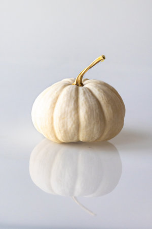 White decorative pumpkin on a white backgroundの写真素材