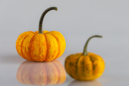 Two orange decorative pumpkins on a light glossy background. Selective focus