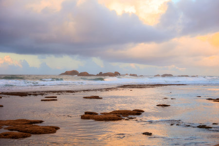 Dawn on the shore of the Indian Ocean. Landscape of Sri Lanka.Soft focusの写真素材