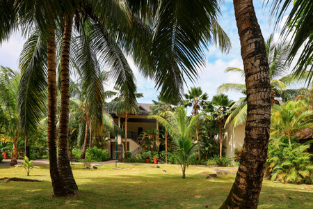 Tropical Paradise with Palm Trees and Resortの写真素材