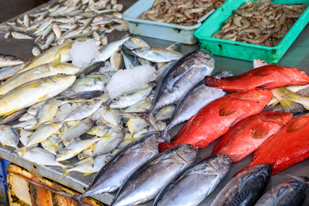 Fresh seafood display, assortment of fish and shrimp, seafood market