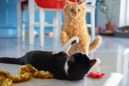 Playful Feline Friends with Tinsel Decorations