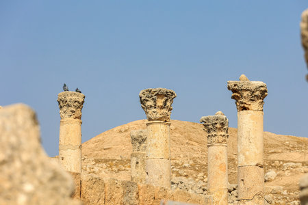 Ancient Roman Columns at an Archaeological Site under a Clear Skyの写真素材