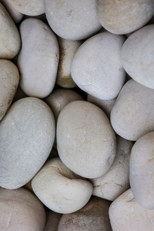 Smooth White Pebbles and Stones Textureの写真素材