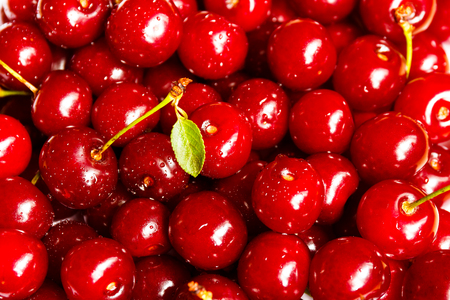 Background of ripe cherries. Selective focus Summer fruit.の写真素材