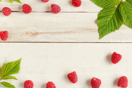 Fresh berries background Copy space for your text.
