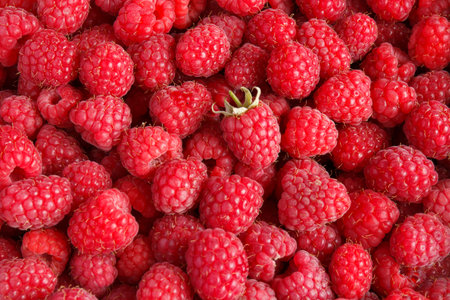Fresh and sweet raspberries background. Selective focus.