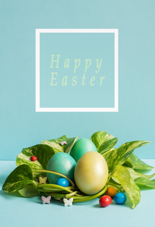 Easter eggs in nest from green leaves on a blue background.の写真素材