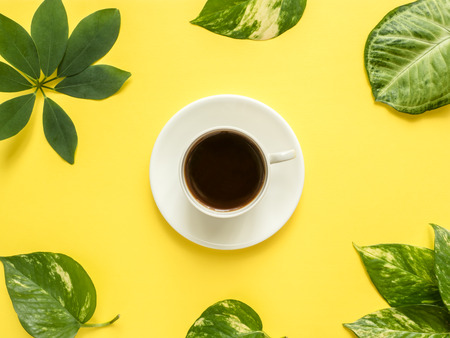 Cup of coffee in the center on yellow background with green leaves.の写真素材