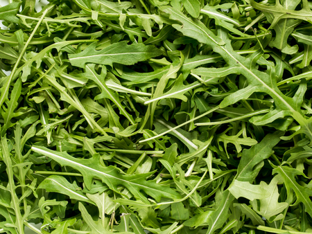 Green background from the fresh leaves of arugula.の写真素材