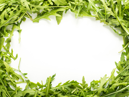 Frame of green arugula leaves on white backgroundの写真素材