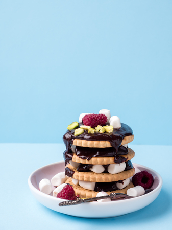 A sweet dessert of a chocolate cookie raspberry and marshmallow Cup of coffee on a light table.の写真素材