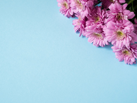 Bouquet of multicolored chrysanthemums on a blue background Place for text.の写真素材