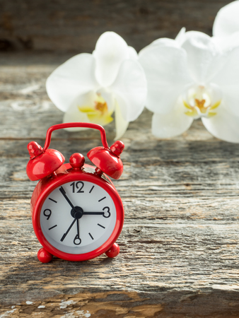 Red alarm clock white Orchid on wooden rustic table.の写真素材